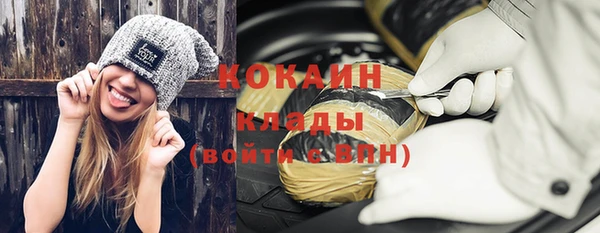 дживик Бронницы