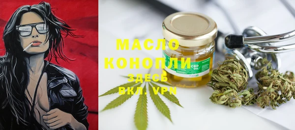 дживик Бронницы